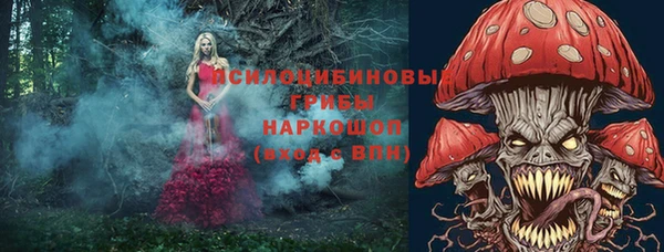 ECSTASY Красноперекопск