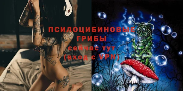 ешки Краснослободск