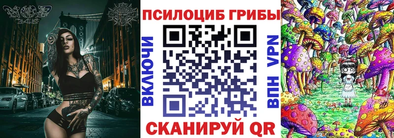 Купить  Новотроицк  Псилоцибиновые грибы Psilocybe 