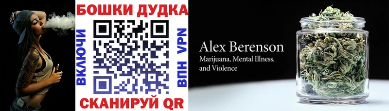 Каннабис план  Купить закладки  Новотроицк 